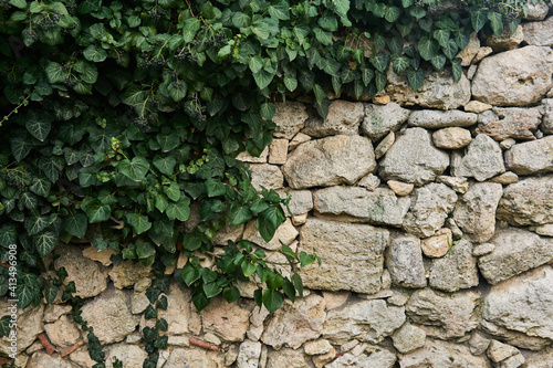 fragment of an ancient wall partially hidden by green ivy