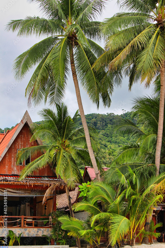 red wooden house with tall palm trees thailand travel