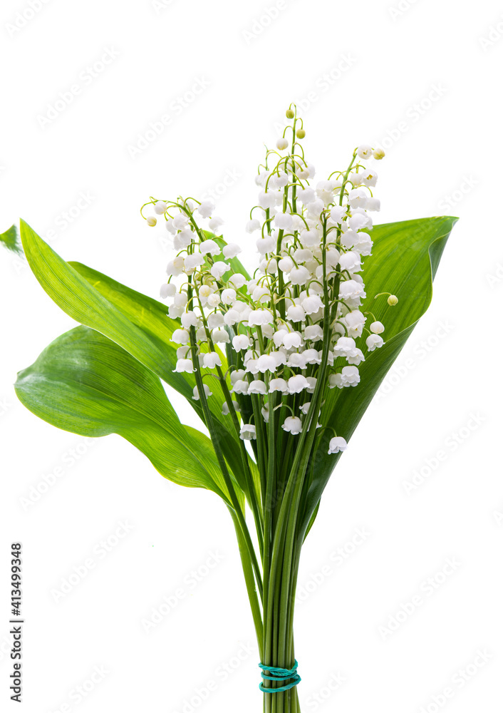 Fototapeta premium bouquet of lilies of the valley isolated