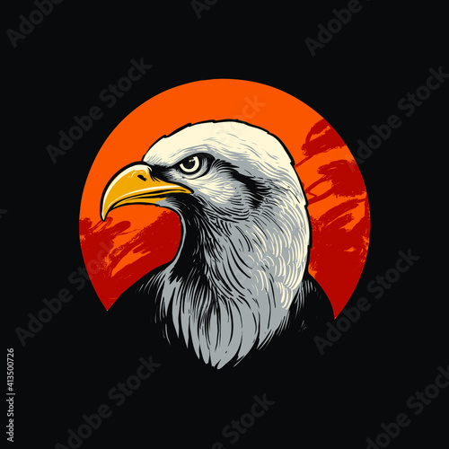 eagle head detailed vector illustration