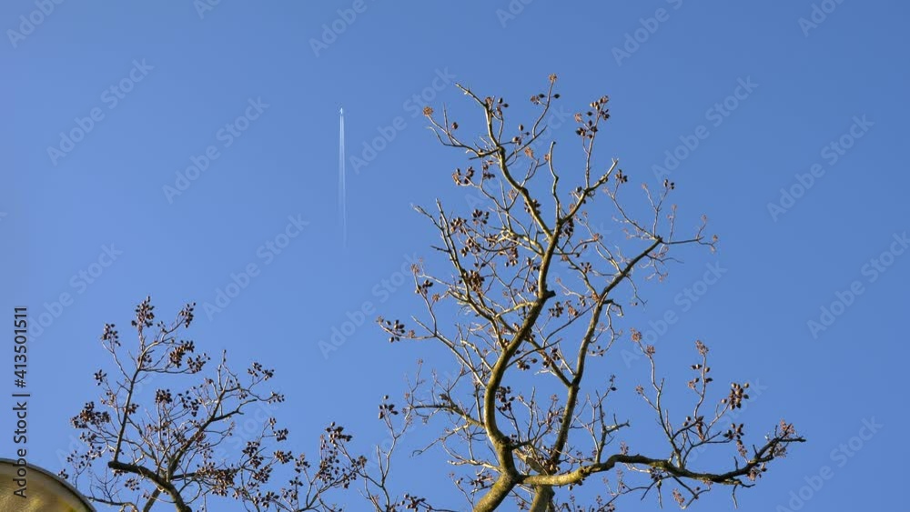 Airplane flies in the blue sky with tree branches frame. Slow motion 4K Airplane flies in the blue sky with tree branches frame. Slow motion 4K