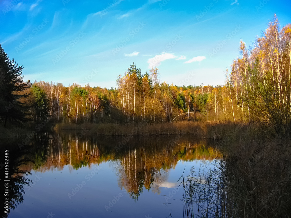 Beautiful autumn landscape with lake behind which the forest in sunny day	