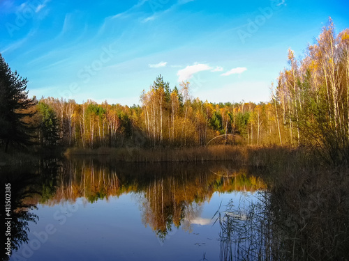 Beautiful autumn landscape with lake behind which the forest in sunny day 