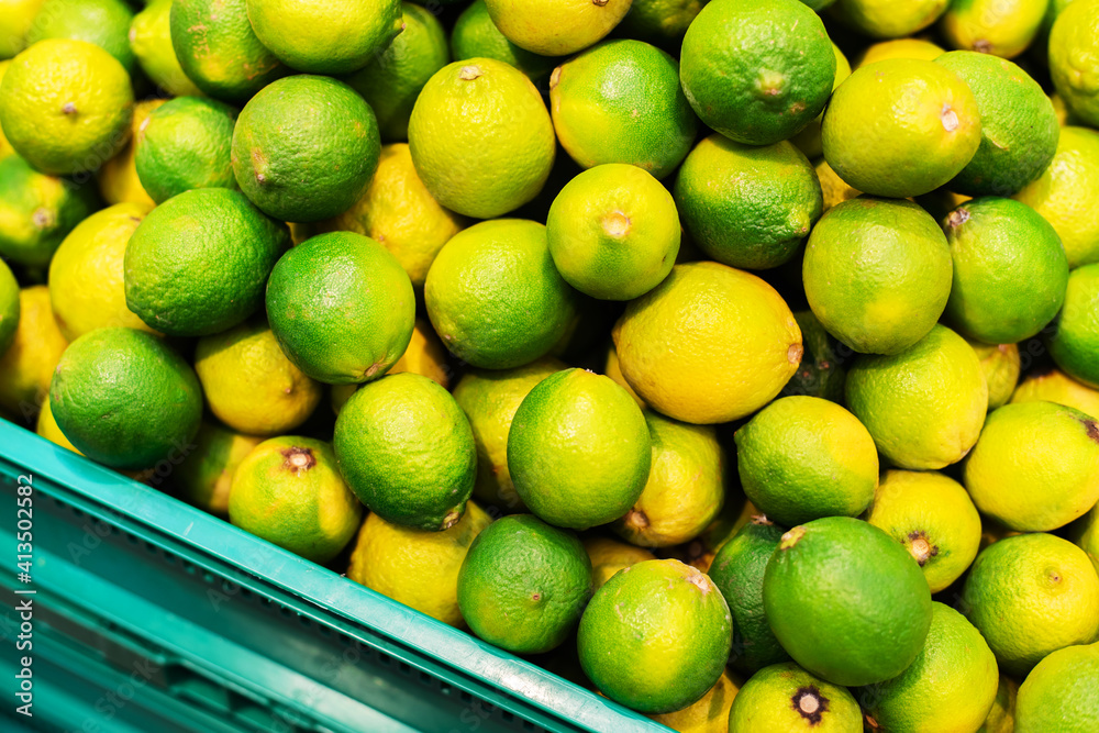 Lots of limes in a plastic box. Trade and export of exotic plants for the food industry. Selective focus