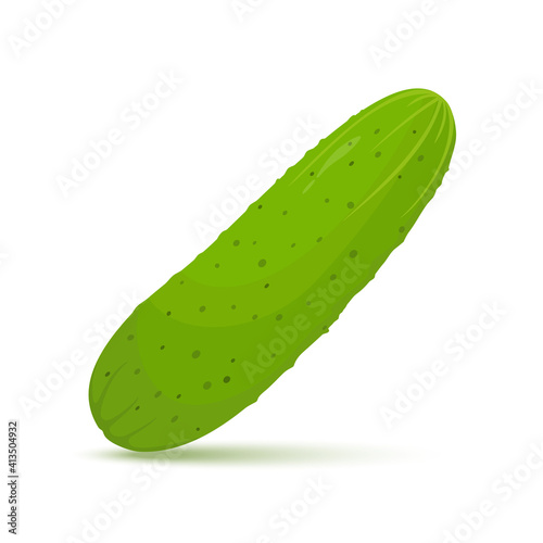 fresh cucumber vegetable isolated icon. cucumber for farm market, vegetarian salad recipe design. Vector illustration in flat style