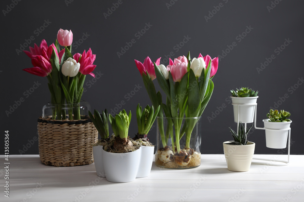 Beautiful tulips with bulbs on white wooden table