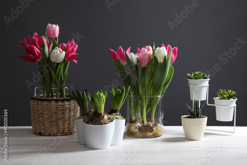 Beautiful tulips with bulbs on white wooden table