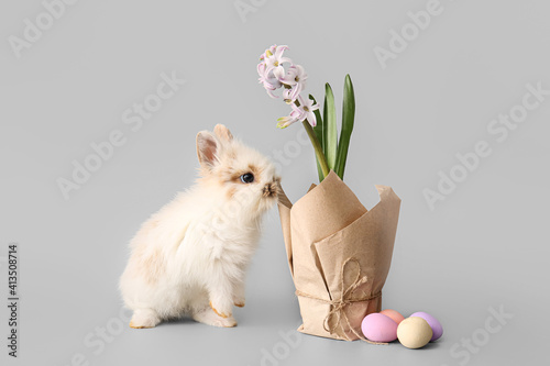 Cute rabbit and blooming spring plant on grey background