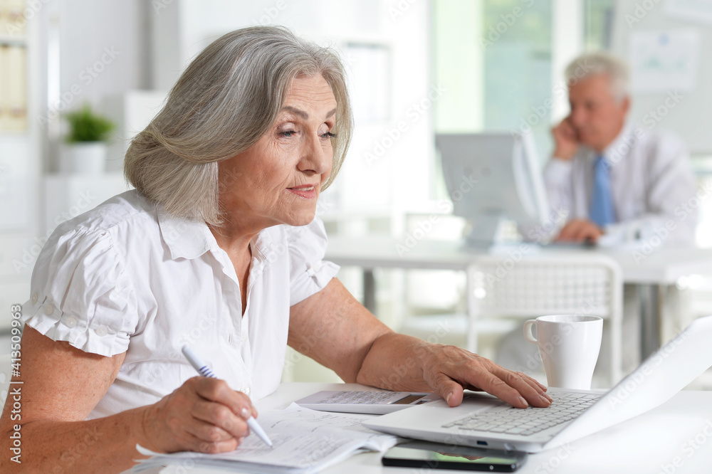successful senior businesspeople working together successful senior businesspeople working together