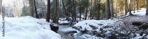 Frozen River in the forest © Johannes