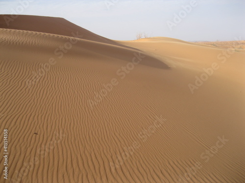 sand dunes in the desert