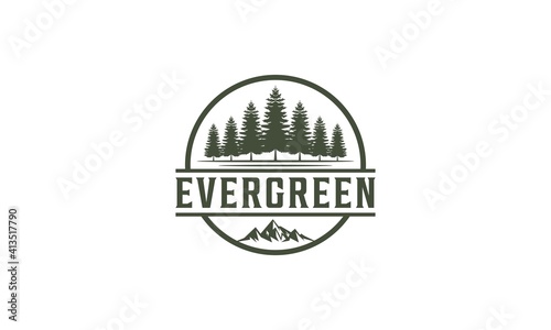 pine evergreen fir hemlock spruce conifer cedar coniferous cypress larch pinus tree forest vintage retro hipster line art Logo design