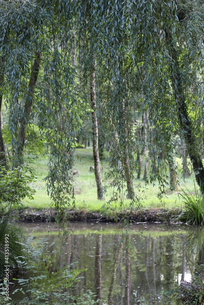 nature nature