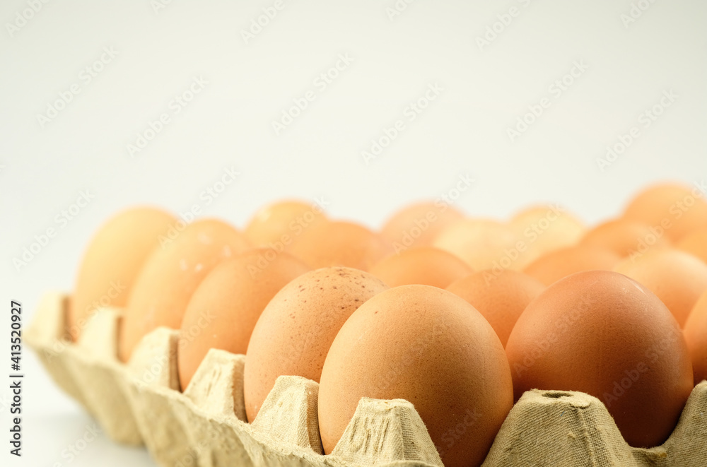 The eggs in packet in high definition on white background The eggs in packet in high definition on white background