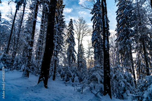 Fototapeta Naklejka Na Ścianę i Meble -  Zima w górach