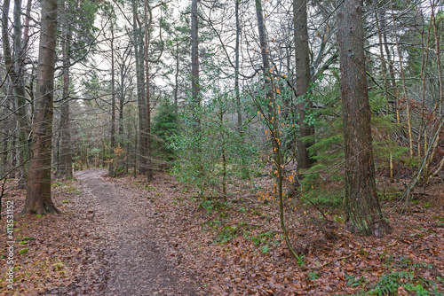 Footpath trail through rural countryside woodland landscape