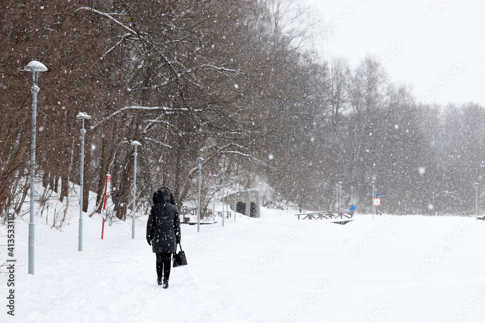 Snowfall in winter park, snow covered trees and frozen lake, picturesque view. Silhouette of lonely girl walking in cold weather Snowfall in winter park, snow covered trees and frozen lake, picturesque view. Silhouette of lonely girl walking in cold weather
