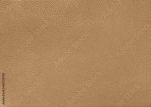 camel leather texture, natural pores skin
