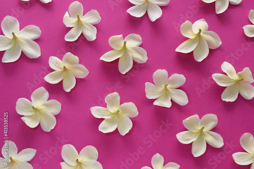 Tropical flowers on pink background.
