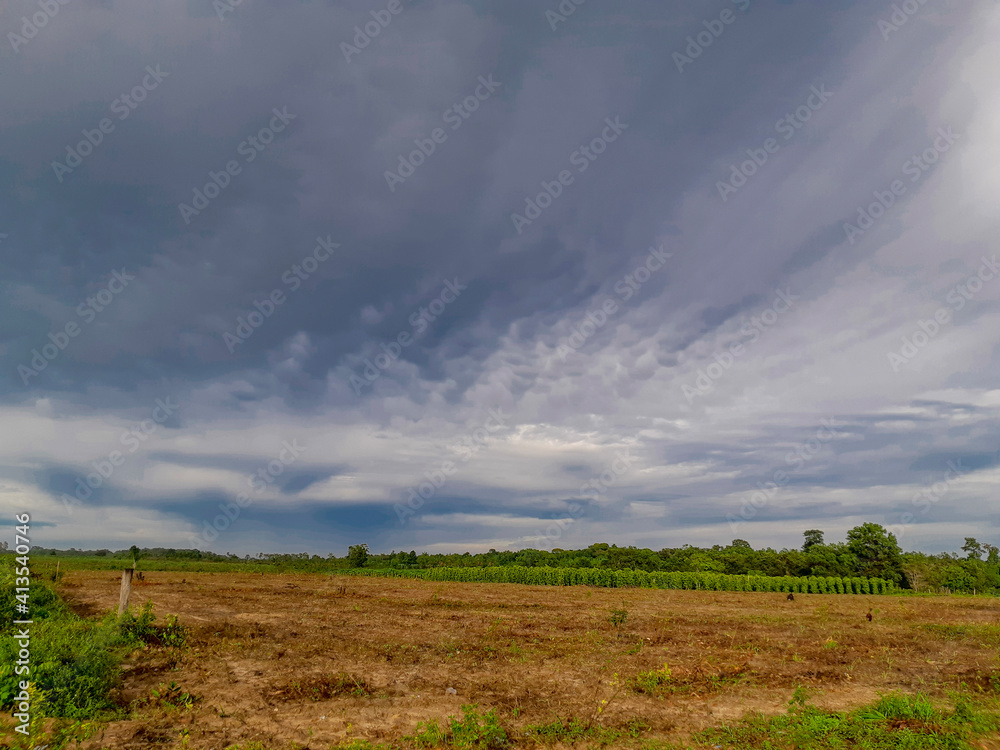 Obraz premium landscape with clouds