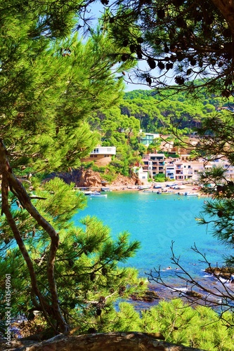 seascape of the beautiful Sa Riera beach on the Costa Brava in the province of Girona, Catalonia, Spain