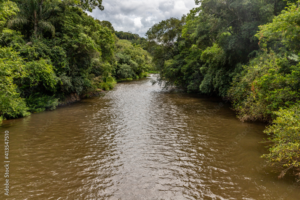 Paranhana river with forest around