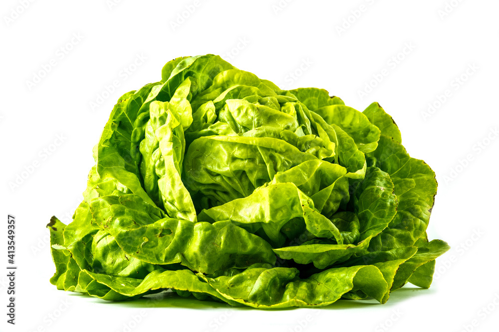 salade sur fond blanc salade sur fond blanc