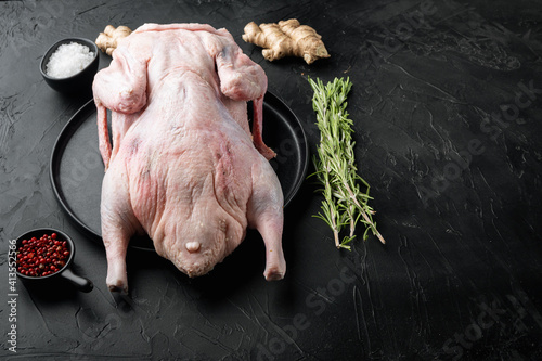 Raw whole farm duck on black background  with copy space