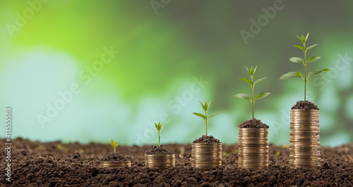 Young Plants Growing Out Of Gold Coin Stacks - Finance and Investing Concept