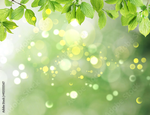 Beautiful green leaves on blurred background  space for text. Spring season