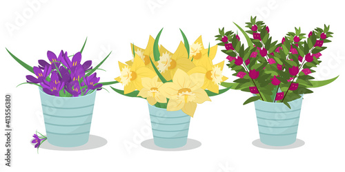 a set of bouquets of spring flowers in vases isolated on a white background