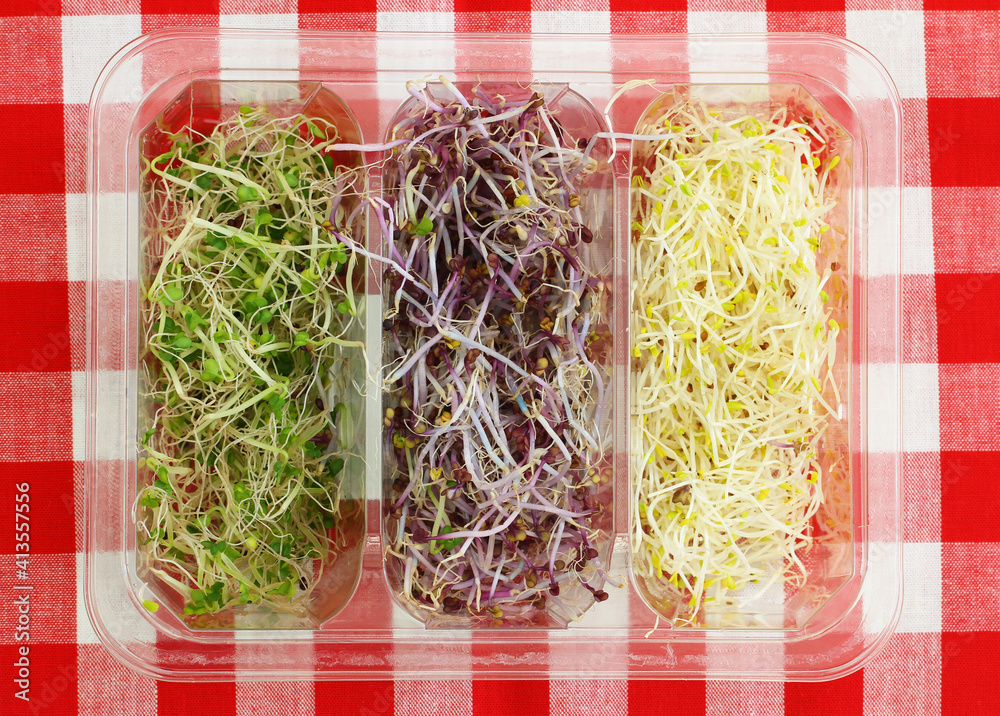Selection of leek sprouts in transparent plastic box on red and white checkered cloth