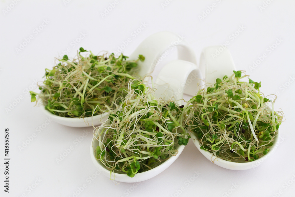 Fresh leek sprouts on white porcelain spoons on white background