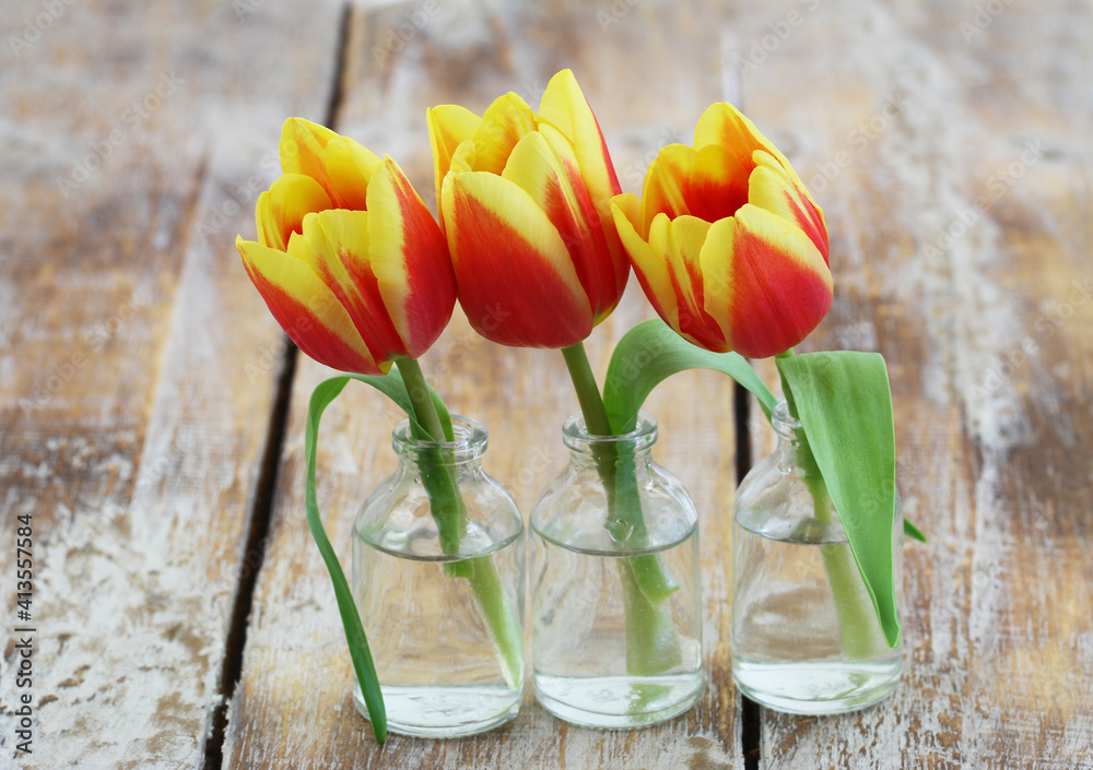 Three red and yellow Dutch tulips in miniature transparent bottles on rustic wooden surface with copy space