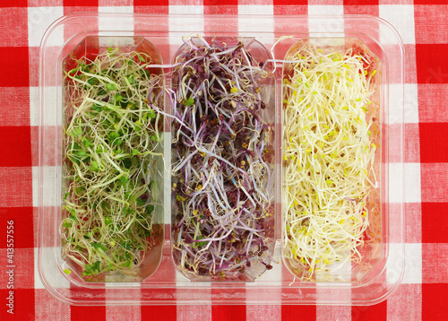 Obraz na płótnie Selection of leek sprouts in transparent plastic box on red and white checkered cloth
w salonie