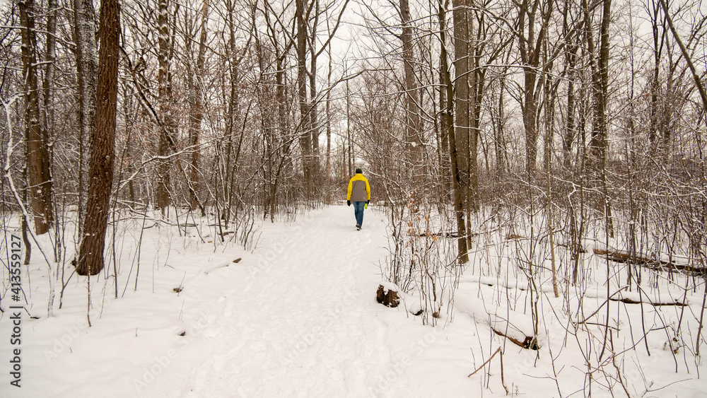 London, Canada, January 19, 2021: Editorial photo of a person walking through the forest on a cold winter day in London, Canada. Snow covered ground with bare trees. Bright winter coats.