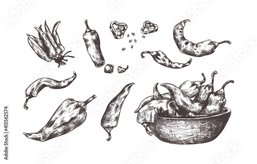 Hand drawn chili pepper. Spicy seasoning sketch, engraved pungent vegetable tied in bundles or sliced into round pieces. Kitchen spice in wooden plate. Vector black and white realistic outline set