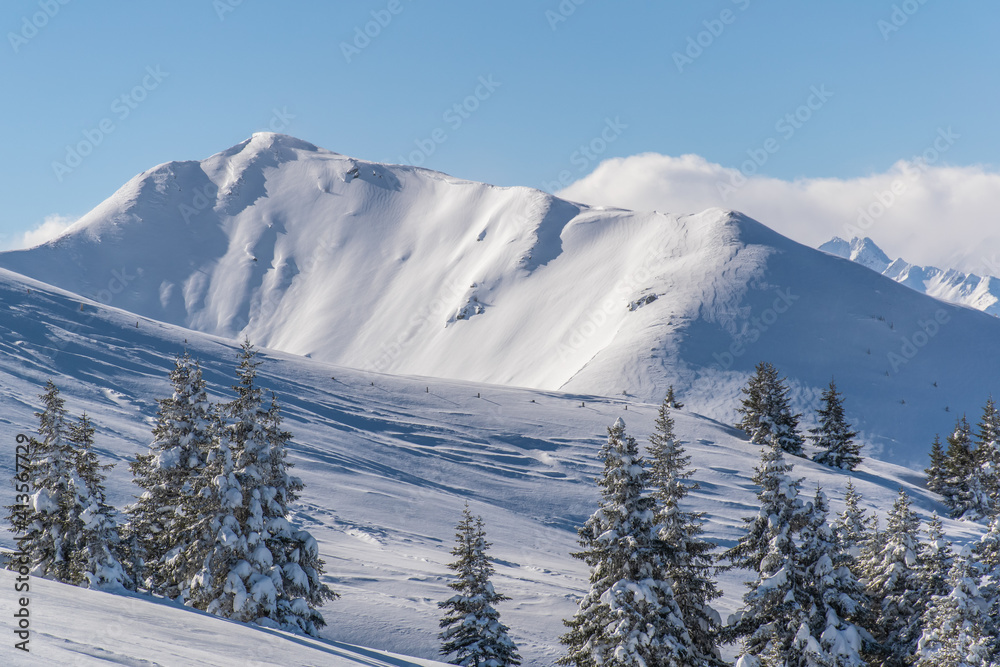 Fototapeta premium The Austrian Alps in winter near Kitzbuhel. Behind the snow-covered fir trees, illuminated by the sun, the magnificent mountain peaks rise against the blue sky.