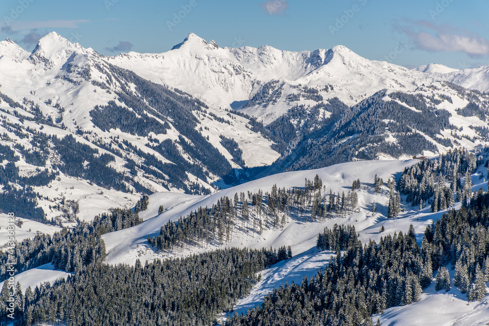 The Austrian Alps in winter near Kitzbuhel. Behind the snow-covered fir trees, illuminated by the sun, the magnificent mountain peaks rise against the blue sky.