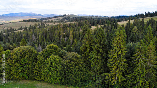 Drone shot of summer mountains landscape. Aerial view of panoramic overview of nature travel green tree forest.  © Svetlana