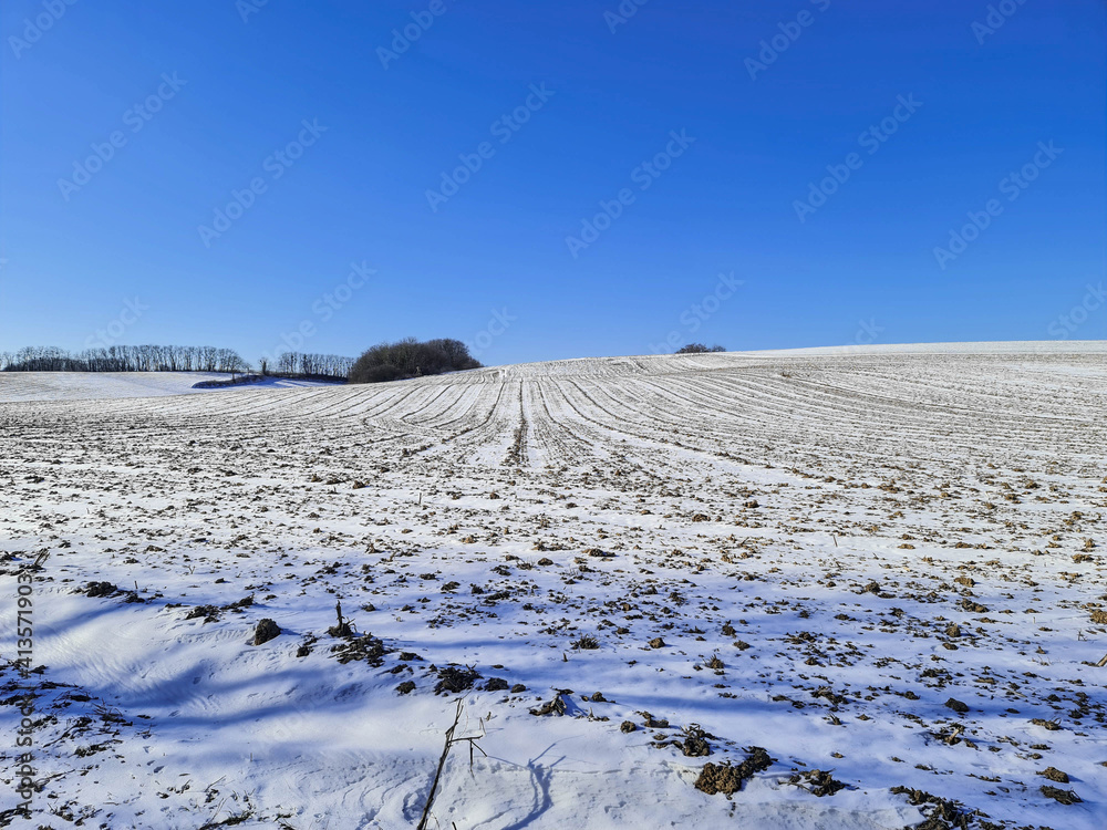 Panoramic view with a blue sky. The agricultural landscape on a hill in Alsace, partly covered with snow dust and trees. Place for text. Grand Est, France