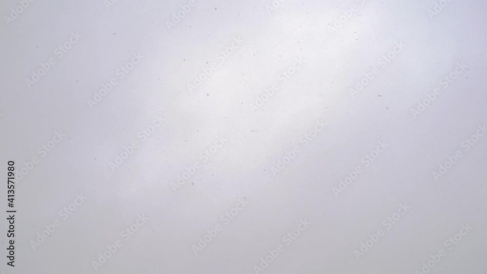 Snowflakes dance in the air when looking up at the sky. White grey rain clouds in the background. Snow falling down. Snowflakes dance in the air when looking up at the sky. White grey rain clouds in the background. Snow falling down.