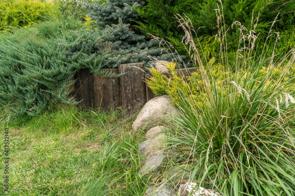 summer green garden or park
