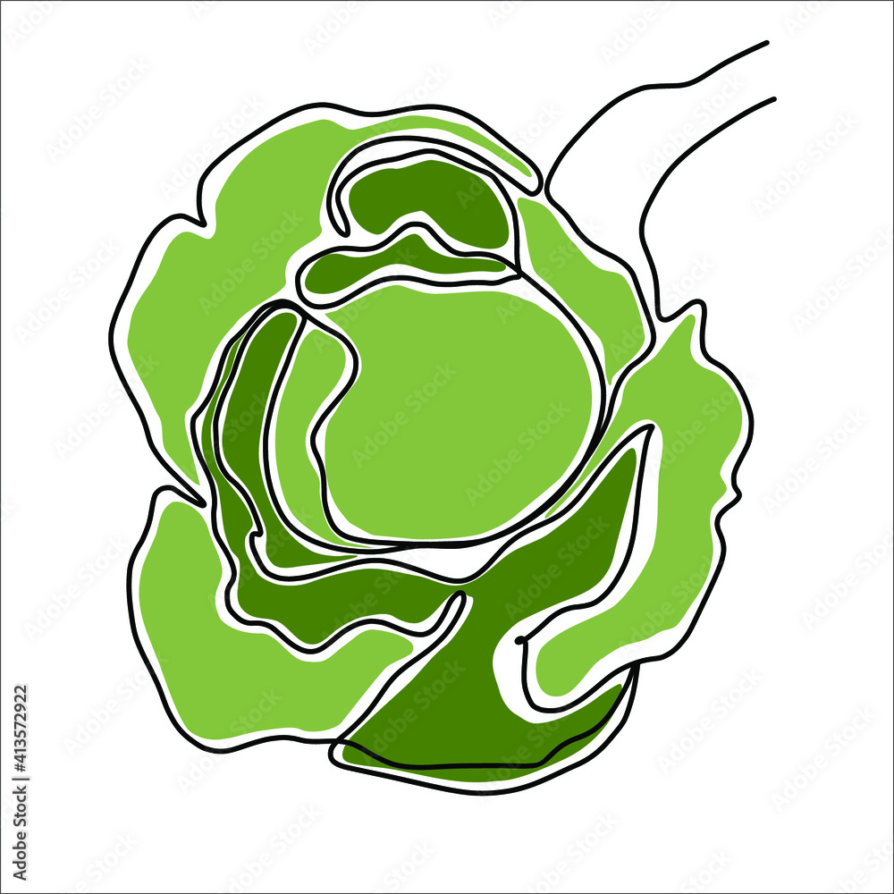 illustration of cabbage with leaf. One line style illustration of cabbage with leaf. One line style