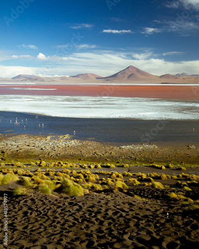Multicolor and full of peace view of Laguna Colorada with some flamingos, Bolivia