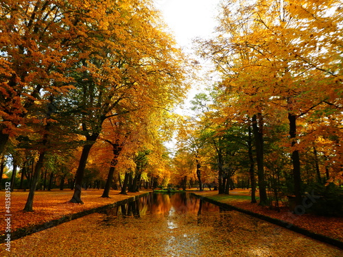 Herbstlandschaft mit buntgefärbten Bäumen und einem goldschimmernden Fluss