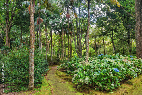Terra Nostra Botanical Garden in Furnas, Sao Miguel Island, Portugal photo
