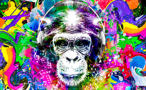 Photography monkey head in reggae hat and eyeglasses with creative abstract elements on whi
