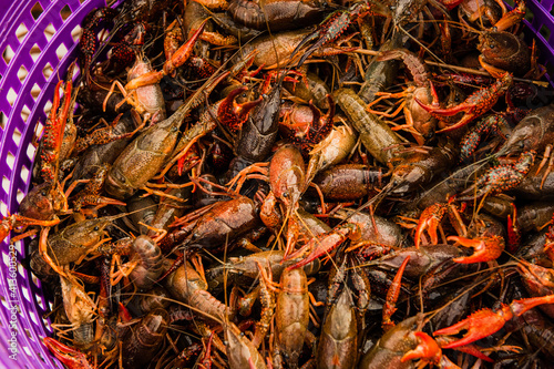 overhead closeup view of a large quantity of cooked crawfish ready to eat at a crawfish boil party at Mardi Gras