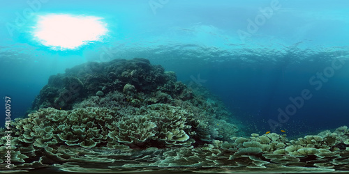 Photography Tropical coral reef and fishes underwater